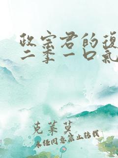 政宗君的复仇第二季一口气看完