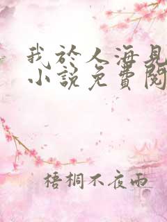 我于人海见过你小说免费阅读