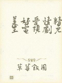 美好爱情精彩人生电视剧免费观看