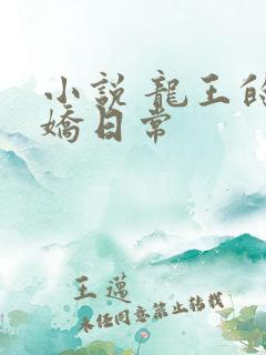小说 龙王的傲娇日常