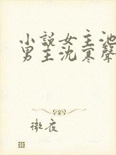 小说女主池若柠男主沈寒声免费阅读