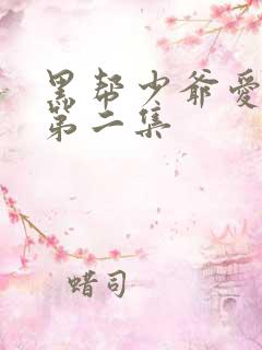 黑帮少爷爱上我第二集