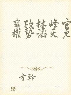 宁欣林峰官道之权势滔天免费阅读