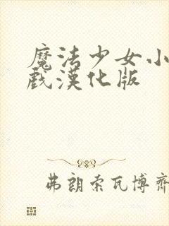 魔法少女小圆游戏汉化版