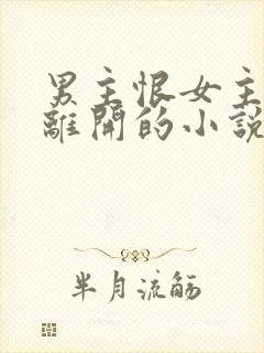 男主恨女主当年离开的小说