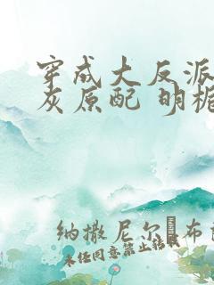 穿成大反派的炮灰原配 明栀