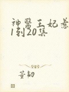 神医王妃惹不起1到20集