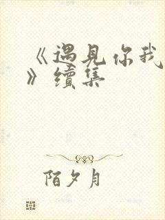 《遇见你我的爱》续集