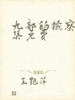 九部的检察官全集免费