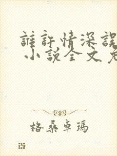 谁许情深误浮华 小说全文免费阅读