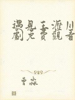 遇见王沥川电视剧免费观看全集大结局