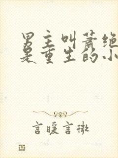 男主叫萧绝女主是重生的小说