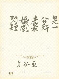 闪婚老公是豪门短剧最新一集