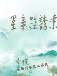 男主叫林孝天重生香江的小说