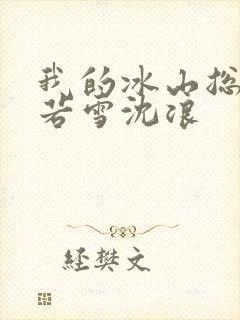 我的冰山总裁苏若雪沈浪