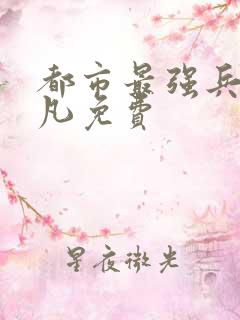 都市最强兵王叶凡免费