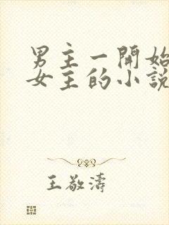 男主一开始讨厌女主的小说