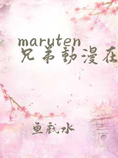 maruten兄弟动漫在线观看免费高清