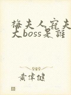 梅夫人宠夫日常大boss是谁