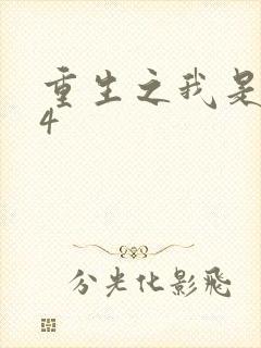 重生之我是王妈4