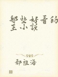 那些好看的双男主小说