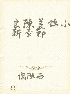 良陈美锦小说最新章节