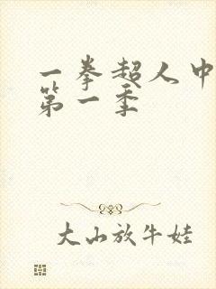 一拳超人中文版第一季