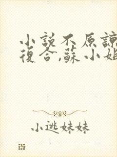 小说不原谅,不复合,苏小姐独美免费