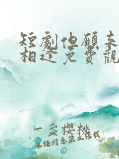 短剧但愿来生不相逢免费观看