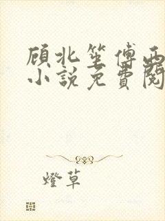 顾北笙傅西洲的小说免费阅读全文