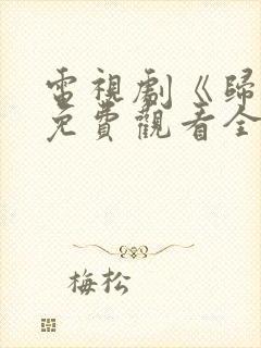 电视剧《归路》免费观看全集高清