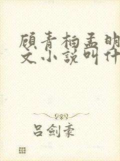 顾青柏孟明月全文小说叫什么名字