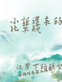 小说迟来的深情比草贱