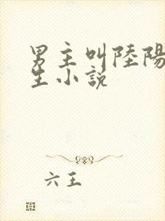 男主叫陆阳的重生小说