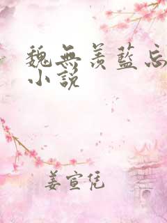 魏无羡蓝忘机的小说