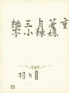 桃三月著重生七零小辣媳