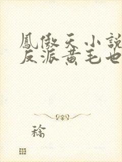 凤傲天小说里的反派黄毛也想要幸福