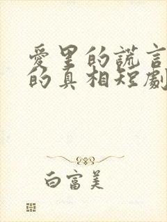 爱里的谎言仇恨的真相短剧免费观看