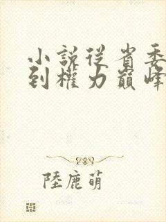 小说从省委大秘到权力巅峰