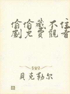 偷偷藏不住电视剧免费观看全集赵