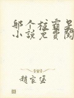 那个校霸是我的小说免费阅读