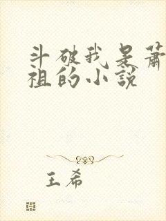 斗破我是萧家老祖的小说