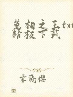 万相之王txt精校下载