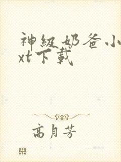 神级奶爸小说txt下载