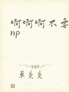 啊啊啊不要高hnp