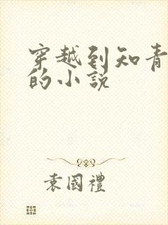 穿越到知青年代的小说