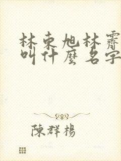 林东旭林霁小说叫什么名字