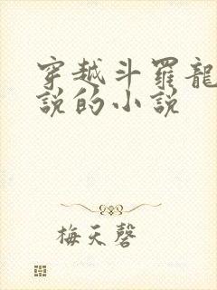 穿越斗罗龙王传说的小说