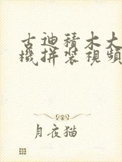 古迪积木大型客机拼装视频