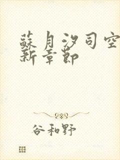 苏月汐司空靖最新章节